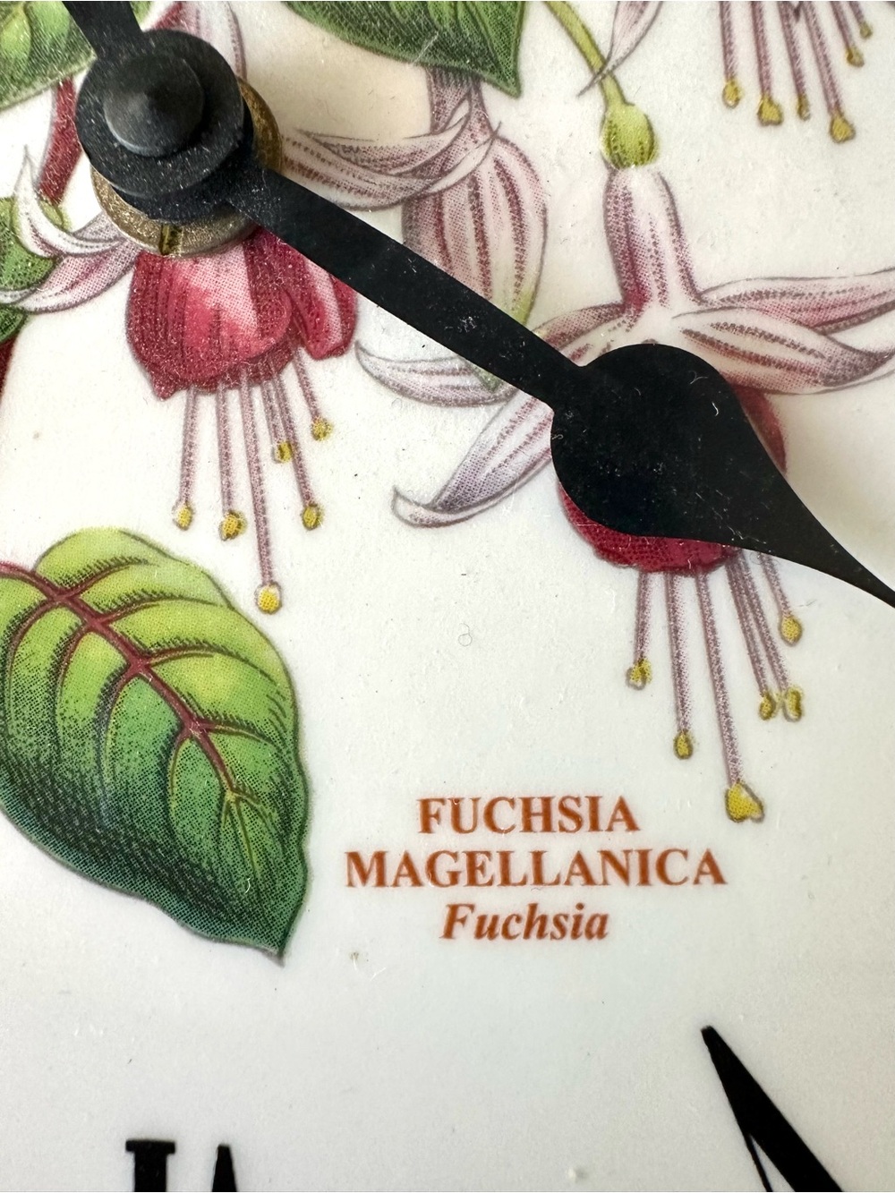 Portmeirion Botanic Garden Fuchsia 10” Wall Clock Made in Britain Works w/ Box - Picture 3 of 6